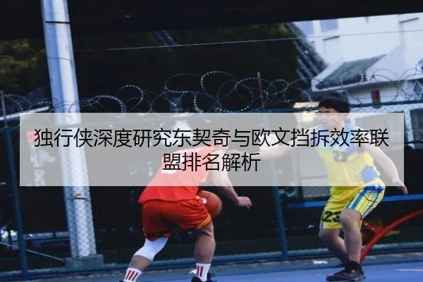 独行侠深度研究东契奇与欧文挡拆效率联盟排名解析